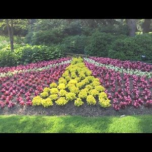 Meet your Posher, Shelley